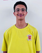 aseel